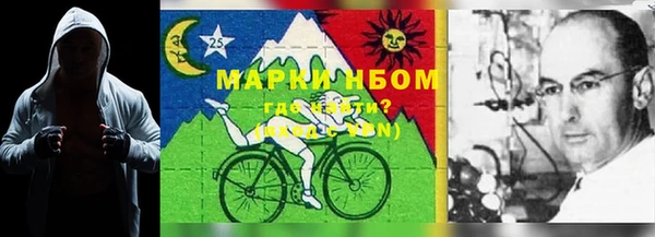 хмурый Белокуриха