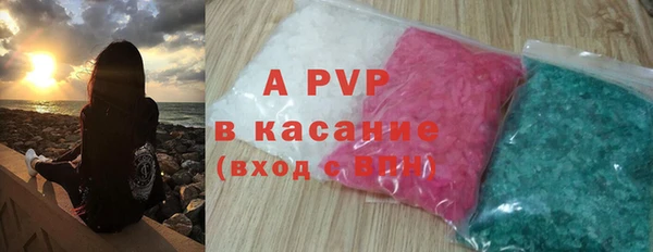 хмурый Белокуриха