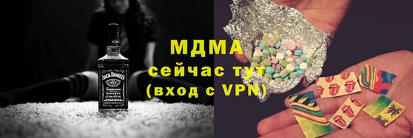 хмурый Белокуриха
