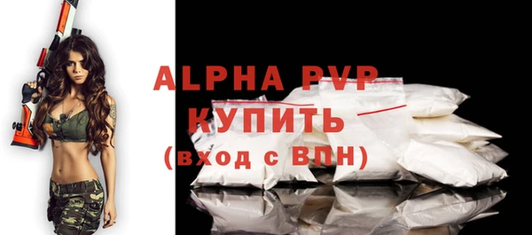 хмурый Белокуриха