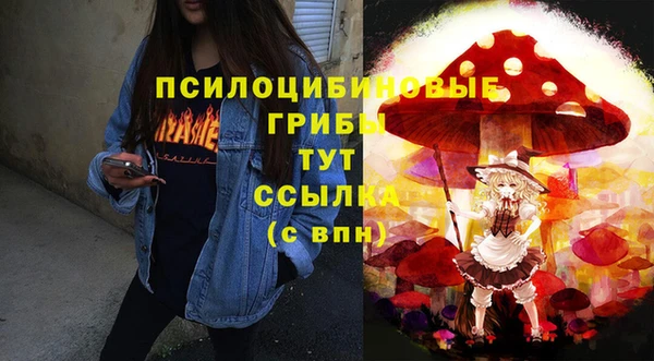 хмурый Белокуриха