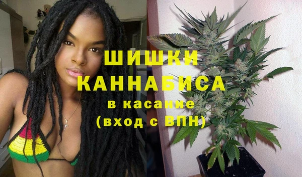 хмурый Белокуриха