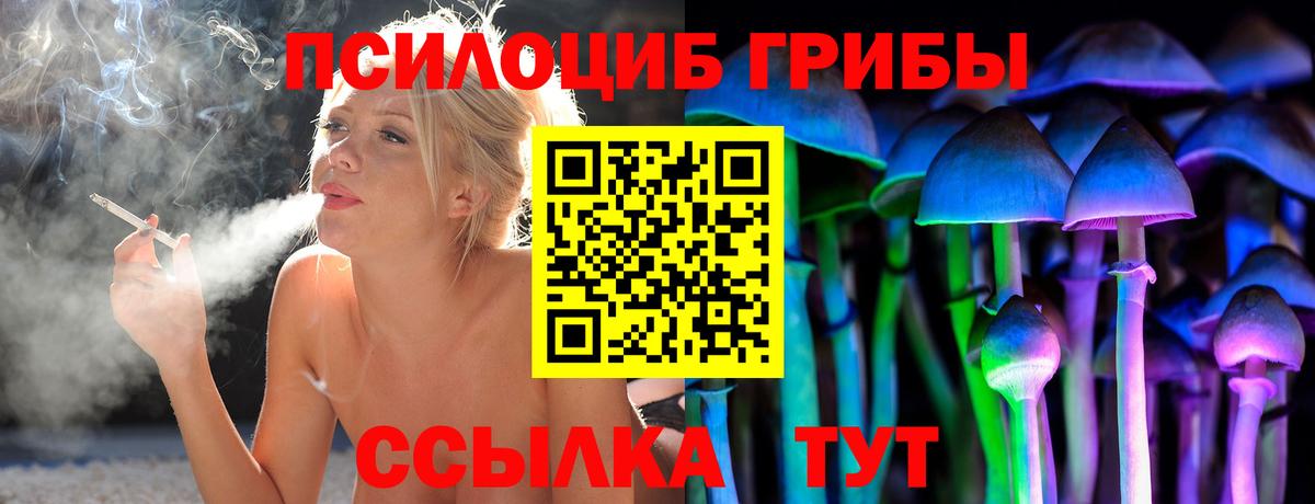 Псилоцибиновые грибы мицелий Среднеуральск