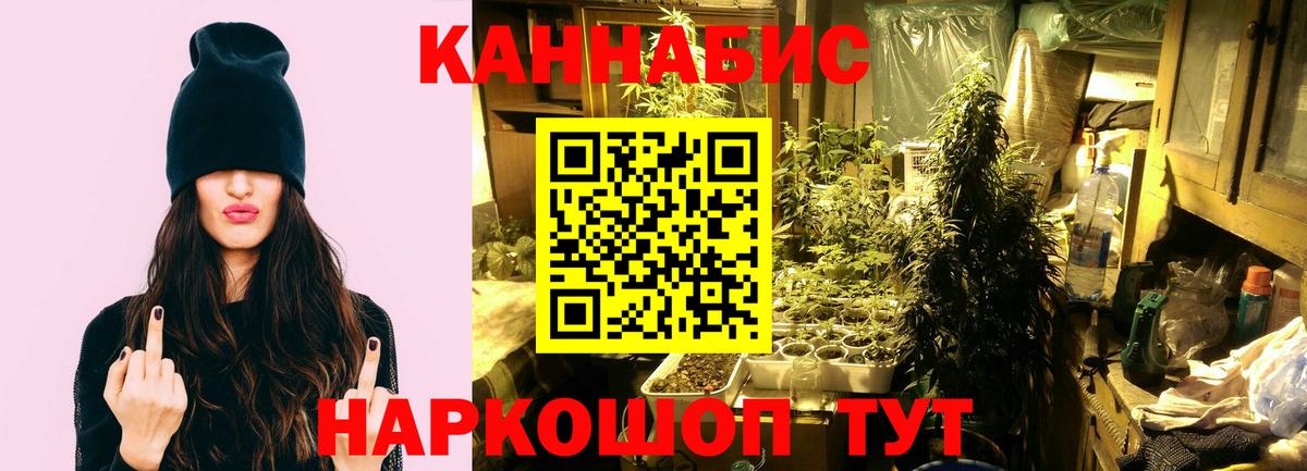 Марихуана конопля  Вход с VPN  Канабис SATIVA & INDICA  Конопля SATIVA & INDICA  Среднеуральск 